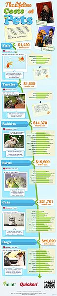File:Cost-of-pets-statistics.jpg