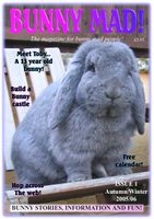 BunnyMadIssue01.jpg
