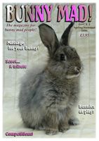 BunnyMadIssue02.jpg