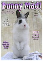 BunnyMadIssue03.jpg