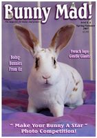 BunnyMadIssue04.jpg