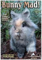 BunnyMadIssue05.jpg
