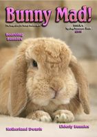 BunnyMadIssue06.jpg