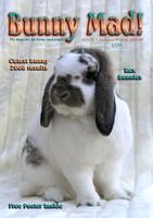 BunnyMadIssue07.jpg