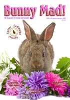 BunnyMadIssue08.jpg