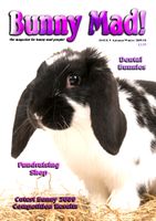 BunnyMadIssue09.jpg