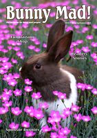 BunnyMadIssue10.jpg