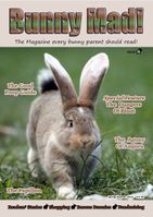 BunnyMadIssue18.jpg
