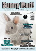 BunnyMadIssue19.jpg