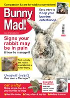 BunnyMadIssue20.jpg