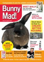 BunnyMadIssue21.jpg