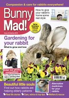 BunnyMadIssue23.jpg