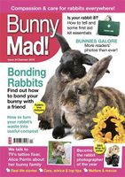 BunnyMadIssue24.jpg