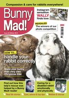 BunnyMadIssue26.jpg