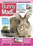 BunnyMadIssue27.jpg