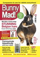 BunnyMadIssue28.jpg