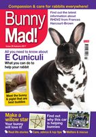 BunnyMadIssue29.jpg
