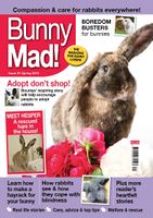 BunnyMadIssue31.jpg