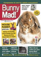 BunnyMadIssue32.jpg