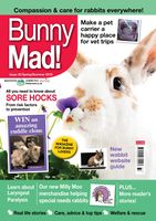 BunnyMadIssue33.jpg