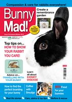 BunnyMadIssue34.jpg
