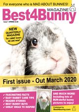 Best4BunnyIssue01.jpg