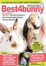 Best4BunnyIssue02.jpg