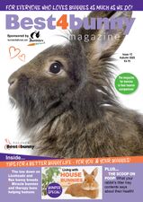 Best4BunnyIssue15.jpg