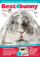 Best4BunnyIssue16.jpg