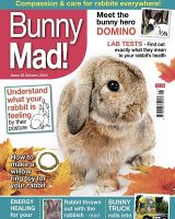 BunnyMadIssue25.jpg