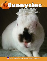BunnyzineV05I12.jpg
