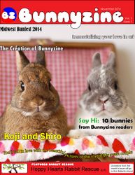 BunnyzineV01I01.jpg
