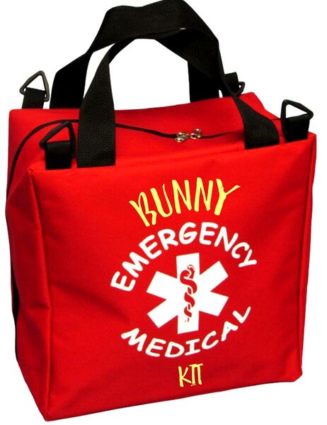File:RabbtiFirstAidBag1a.jpg