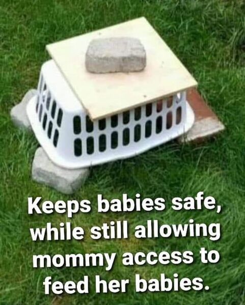 File:WRT protectwildnest 202207.jpg