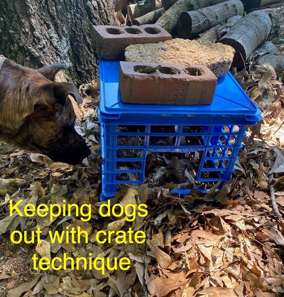 File:BunnyBrigadeSC wild protect crate.jpg