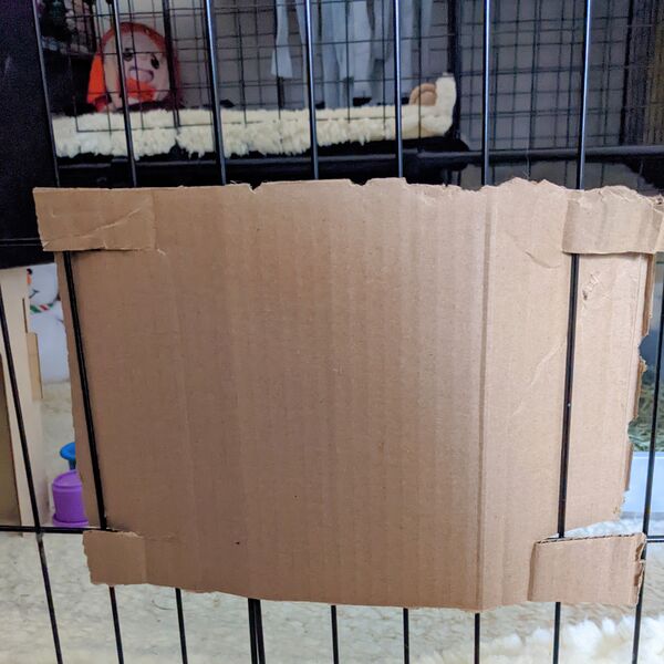 File:Cardboard cover.jpg