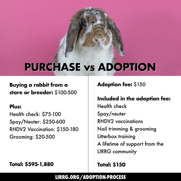 File:LIRRG purchase adoption 2022.jpg