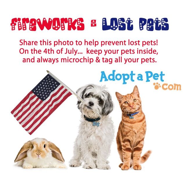 File:AdoptAPet4th.jpg