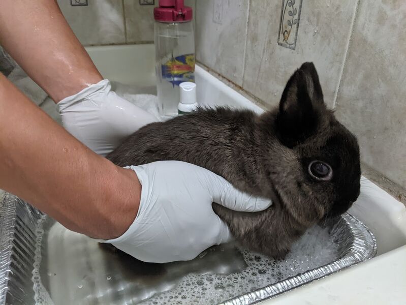 File:Angry-squishette-butt-bath.jpg