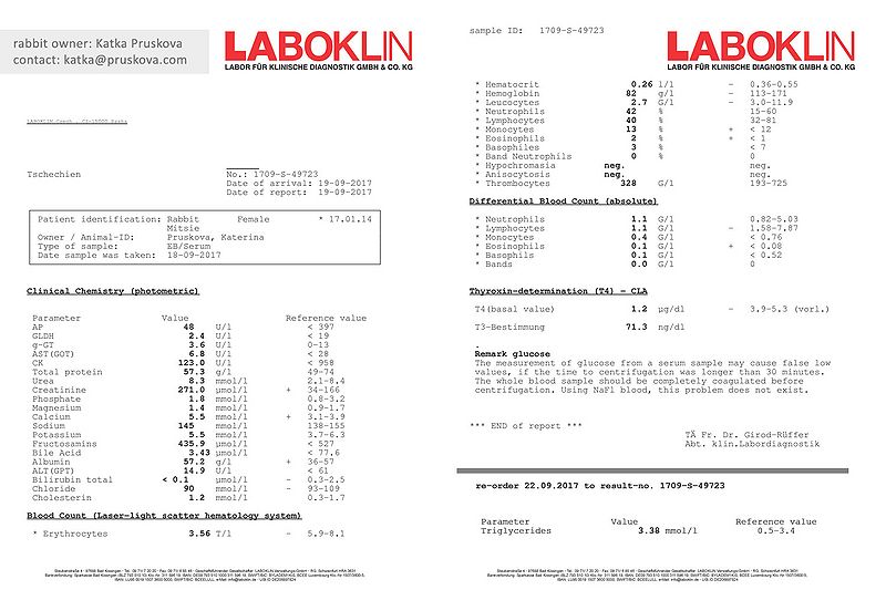 File:170918 Mitsie-bloodtest EN.jpg
