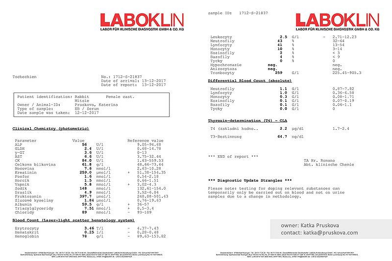 File:171212 Mitsie-bloodtest EN.jpg