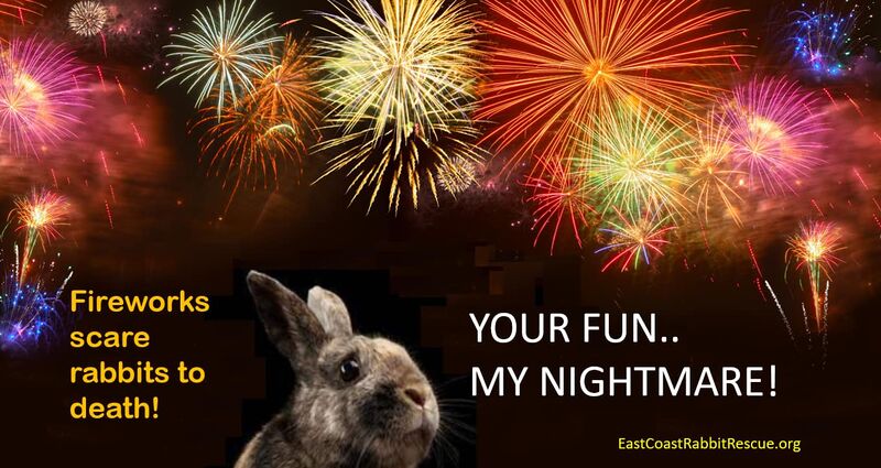File:EastCoastRabbitRescue-Fireworks.jpg