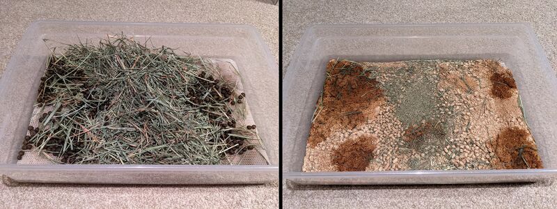 File:Example litterbox used.jpg