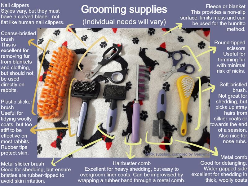 File:Grooming gemyma.jpg