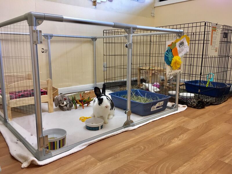 File:HRS Lucidium pen.jpg