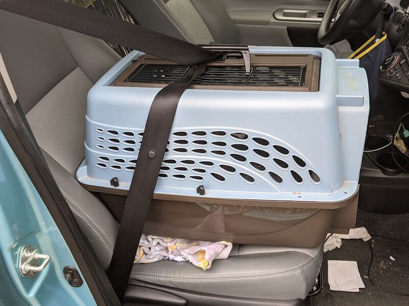 File:SneakyDragon carrier car 2021-08.jpg