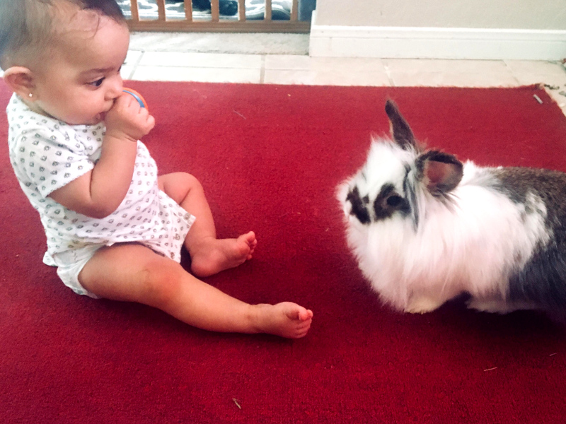 File:BabbyAndRabbit1B.jpg