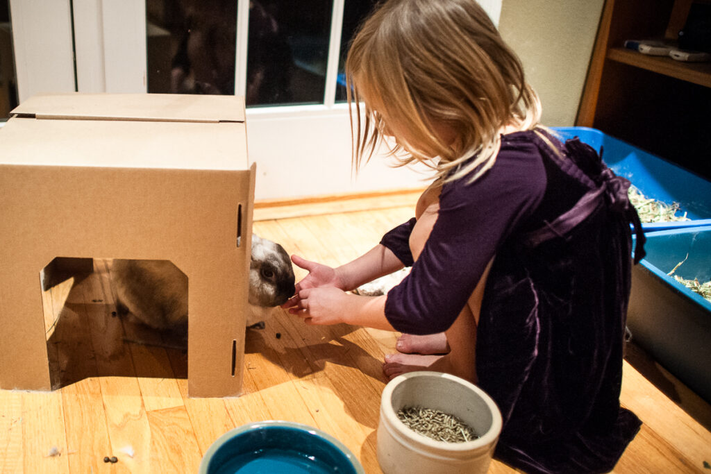 rabbits and children on floor interacting
