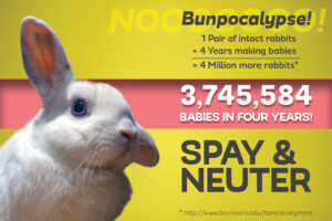 Photo by Joe Beane. Graphic by Amy Ramnaraine.