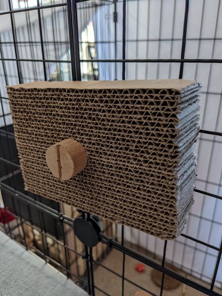 File:Cat-scratcher toy.jpg